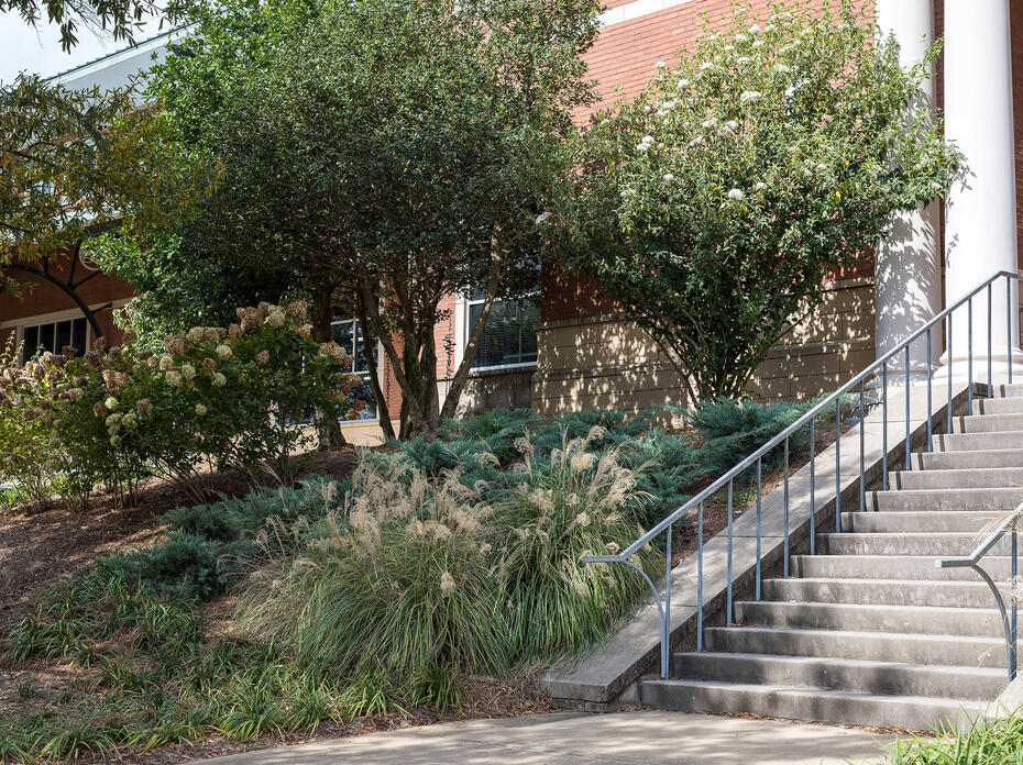 Different plants decorate the area beside a set of stairs.