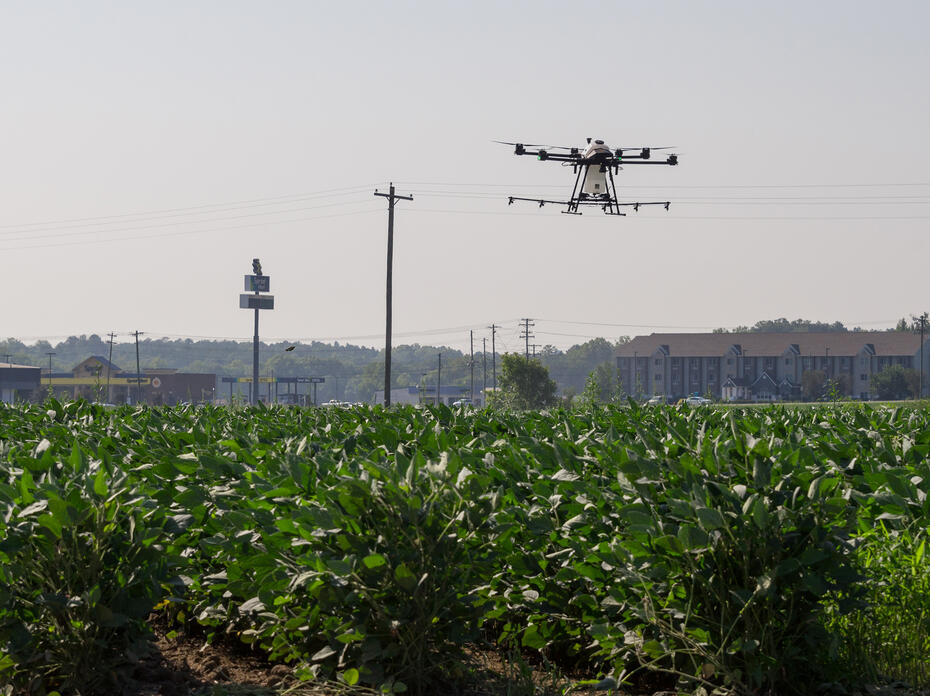 A drone sprays water on crops