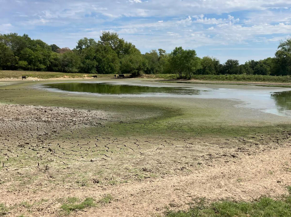 A pond has dried into a fraction of its usual size.