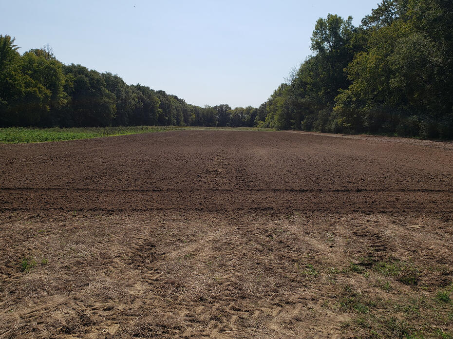 A plot of cultivated soil is surrounded by undisturbed soil.