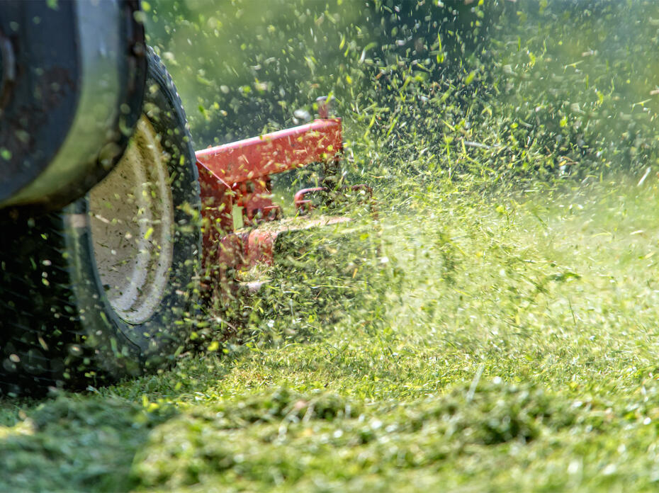 Close up shot of a lawn mower cutting grass