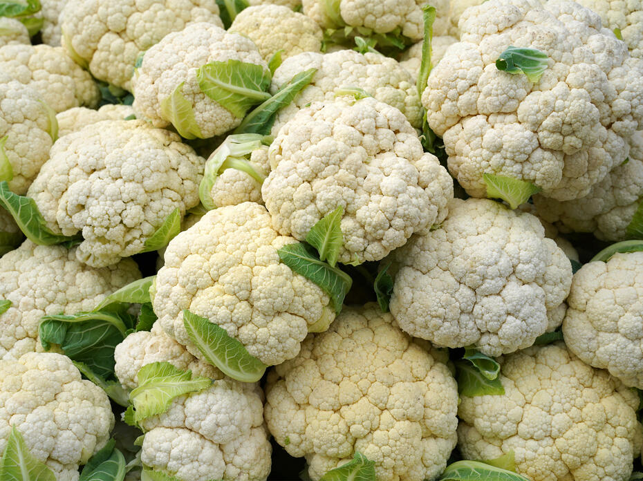 Heads of cauliflower 