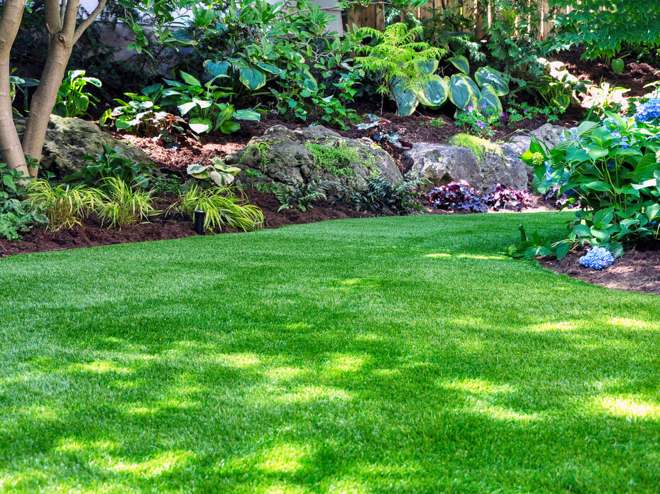 A well maintained landscape.