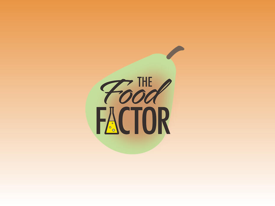 The Food Factor Logo