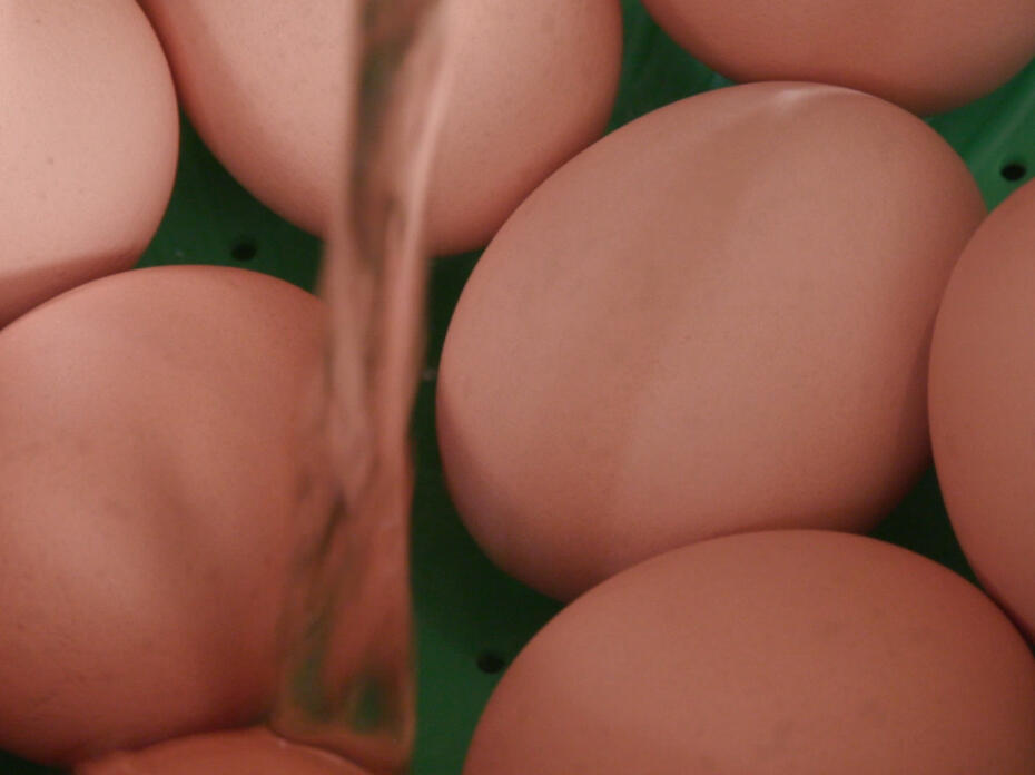 Water poured over brown eggs in an electric pressure cooker.