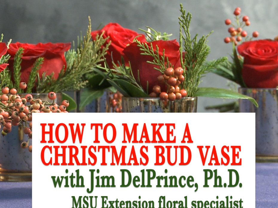Bud vases filled with greenery, holly berries and roses