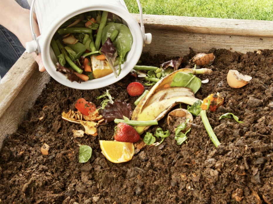 fruit and vegetable waste is added to a compost pile