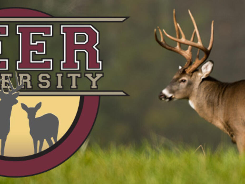 Deer University logo showing buck with huge rack.