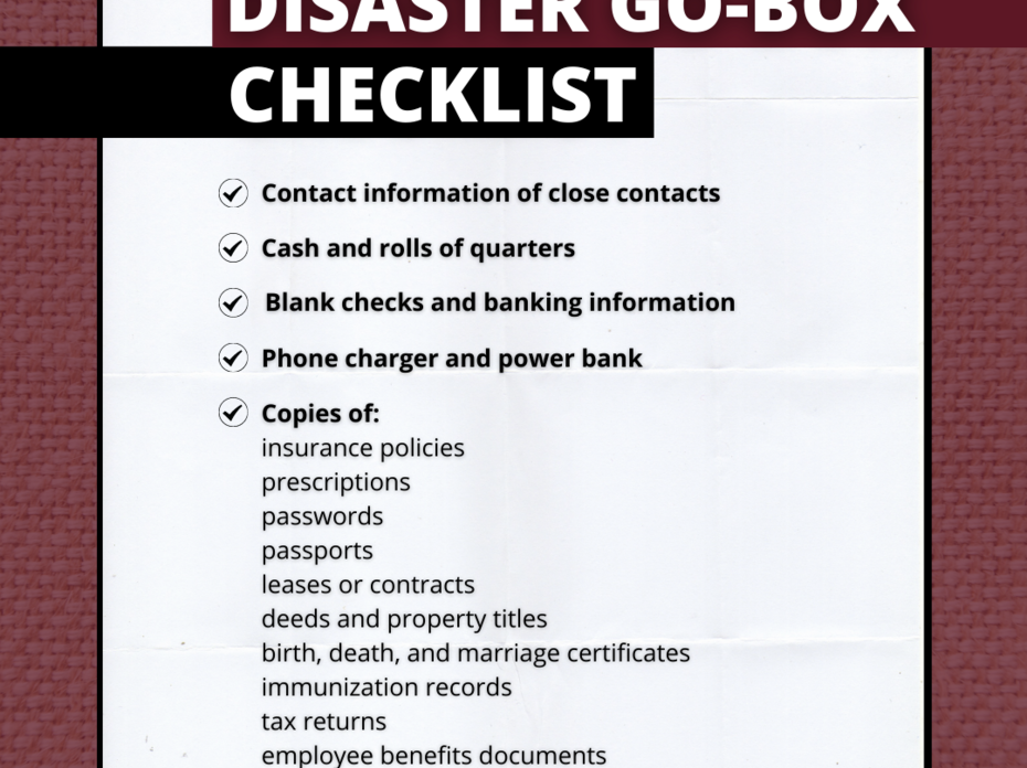 Graphic of disaster go box checklist