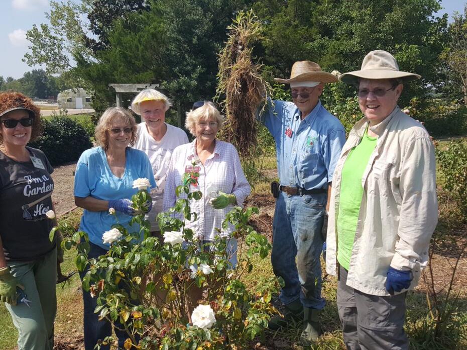Six Master Gardeners pose in a rose garden after weeding it