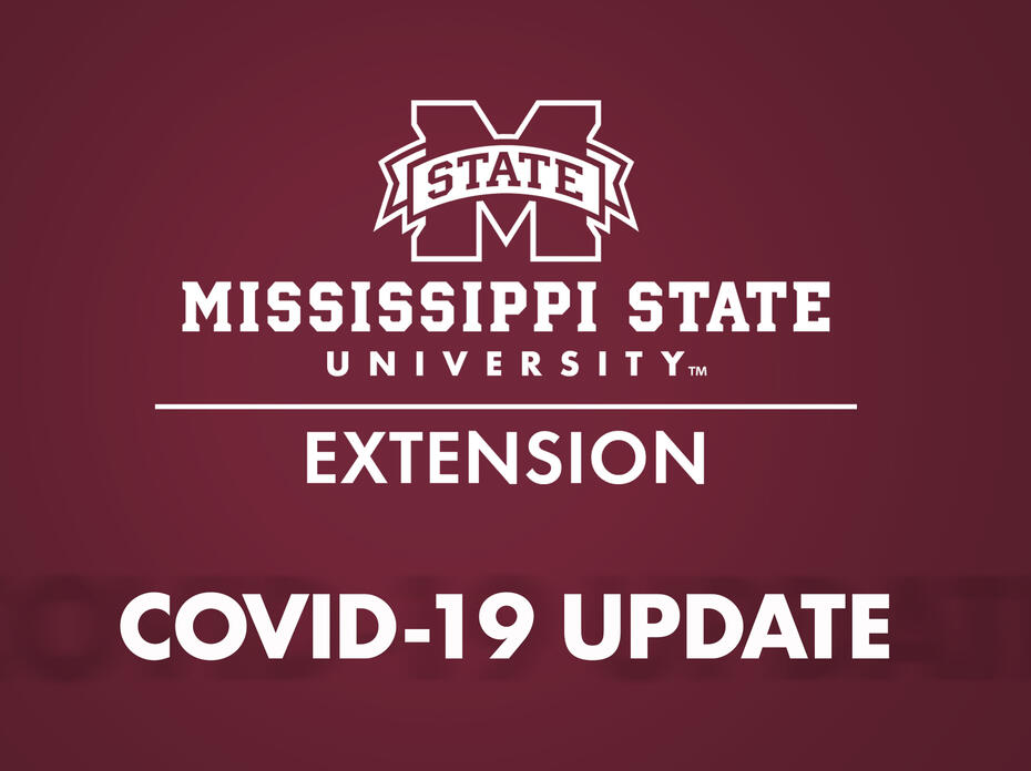 Extension image