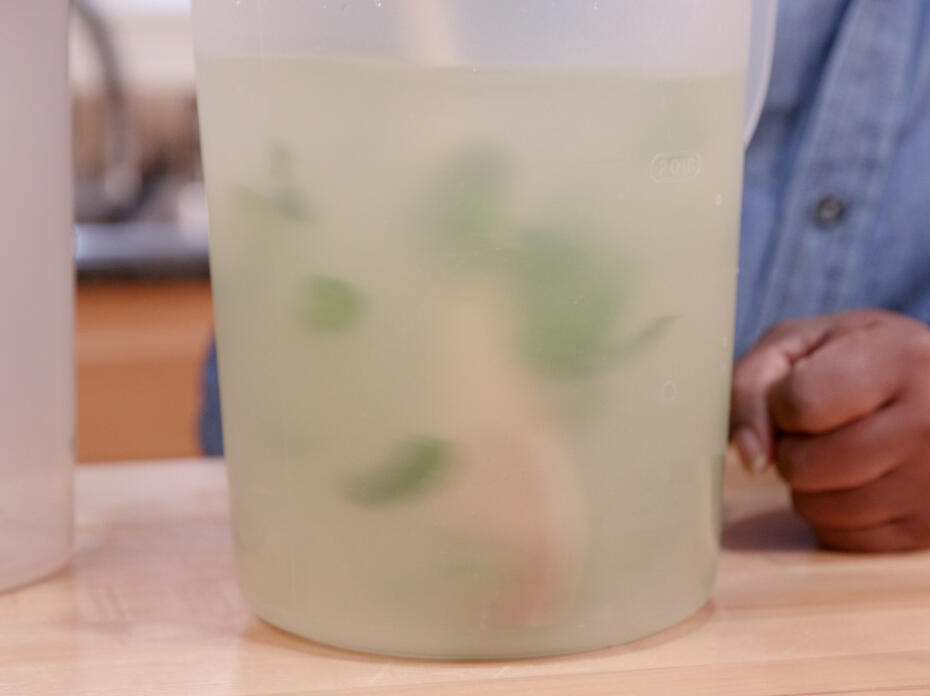 A wooden spoon is used to stir mint leaves in a pitcher of lemonad.