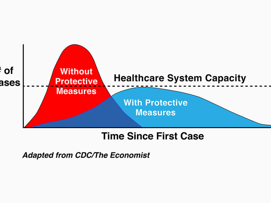 A graph showing the number of cases of coronavirus with and without protective measures