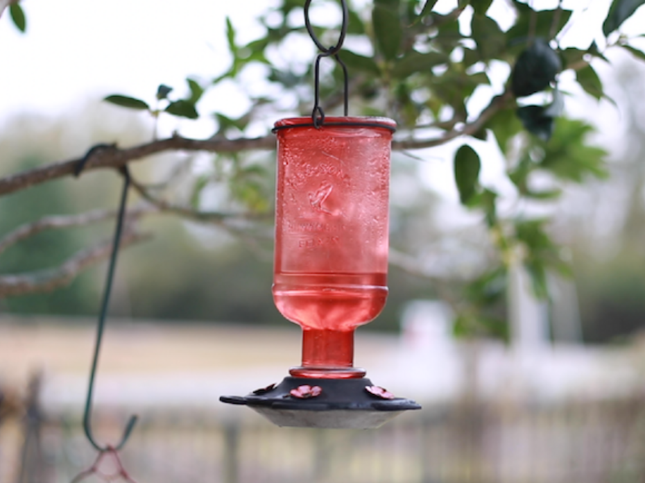 A red bird water feeder hanging on a tree. 