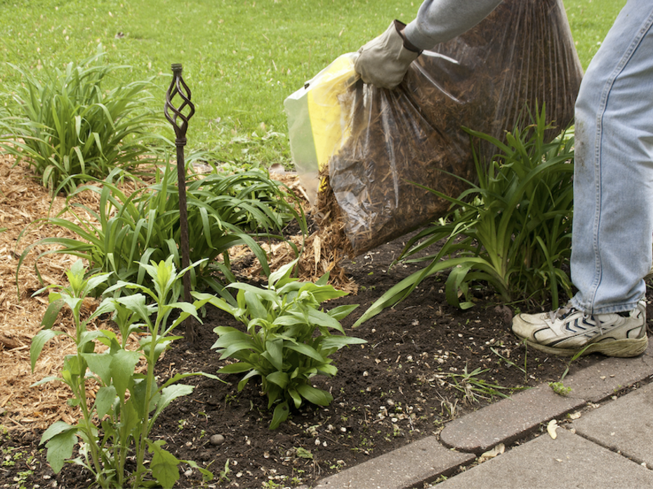 A person spreading mulch in a flower bed.