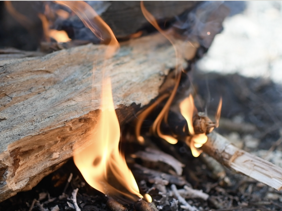 A close-up of a campfire. 