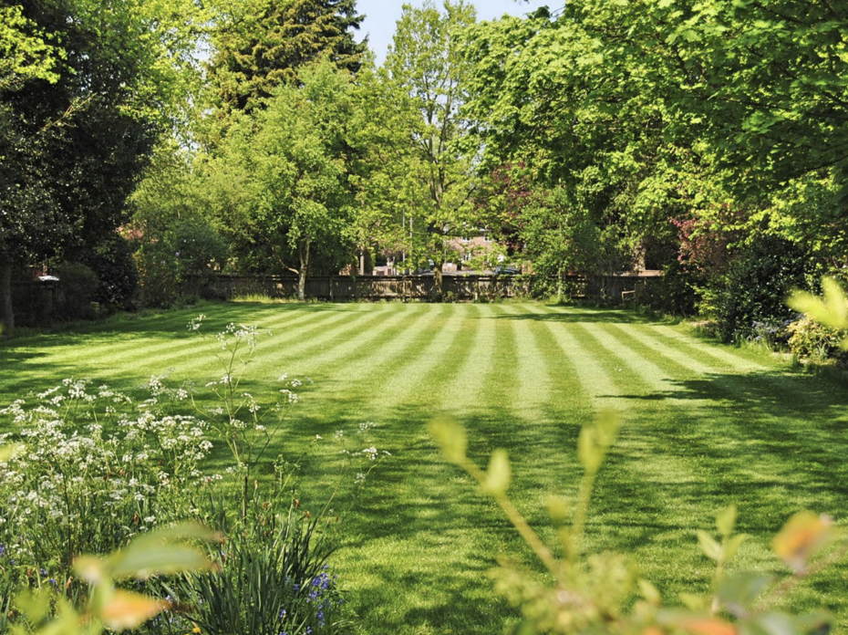 Freshly mowed lawn. 