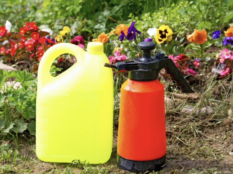 Yellow and red fertilizer cans.