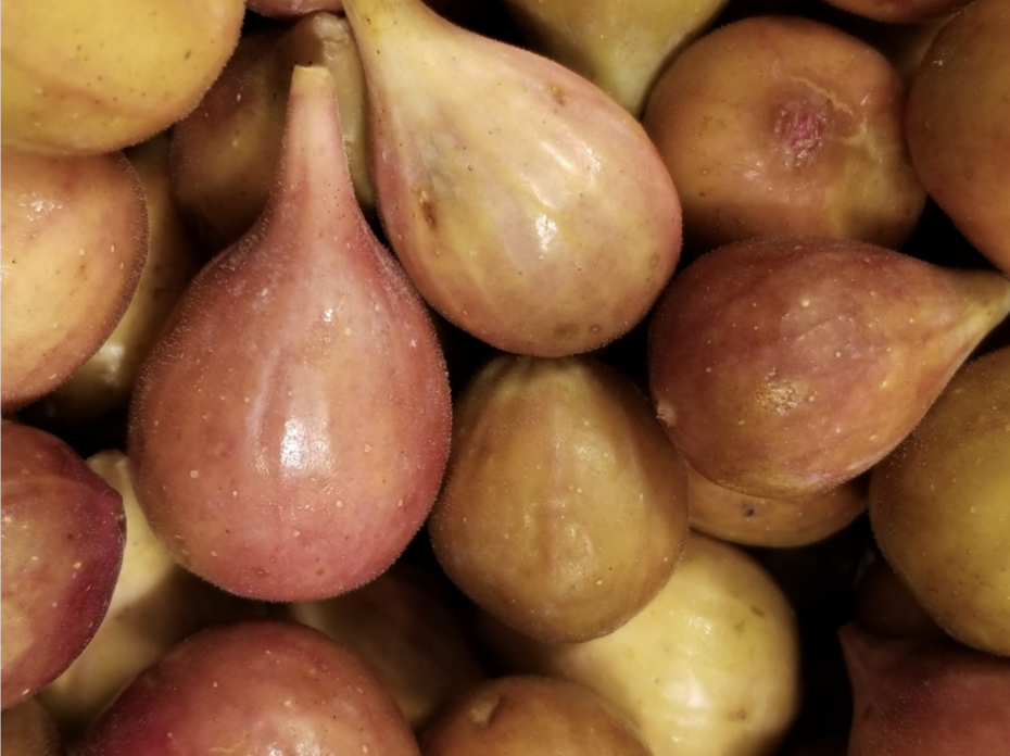 Figs