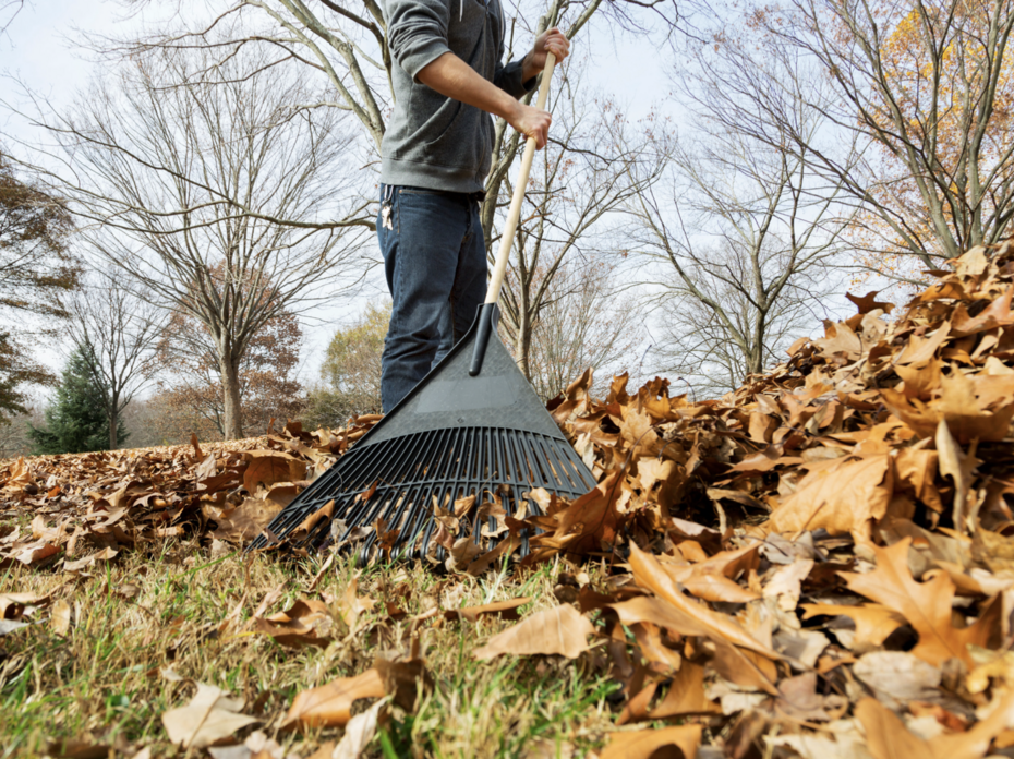 Man raking leaves