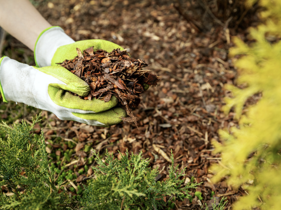 A person putting mulch on a flower bed.