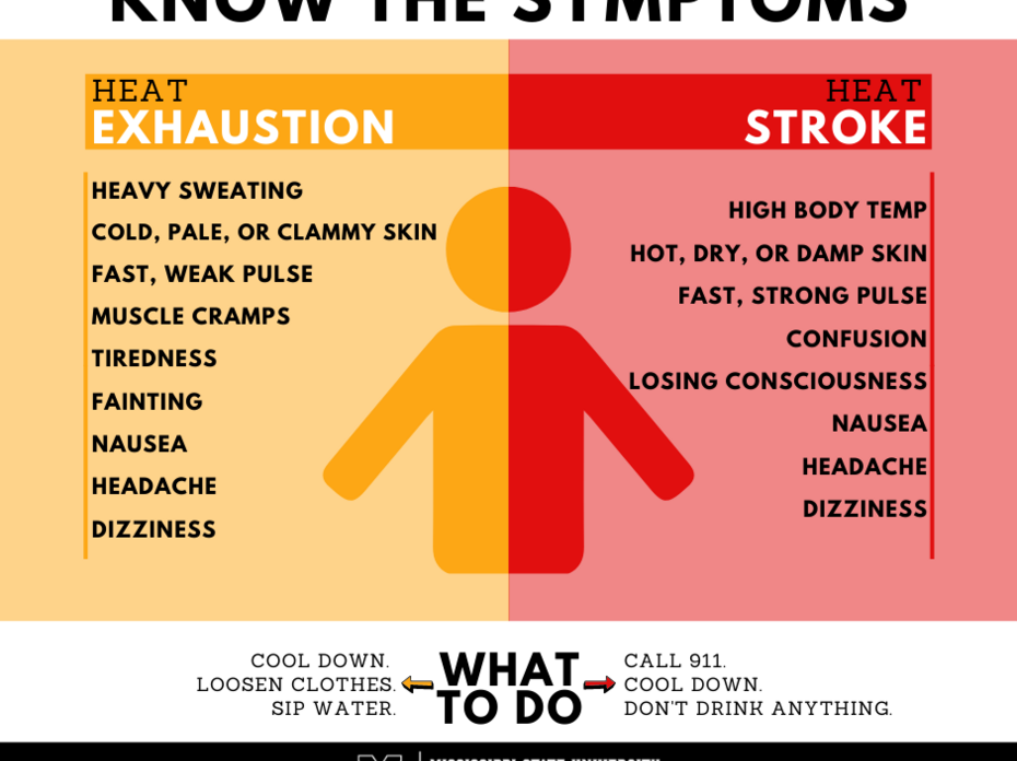 Graphic with symptoms of heat exhaustion and heat stroke.