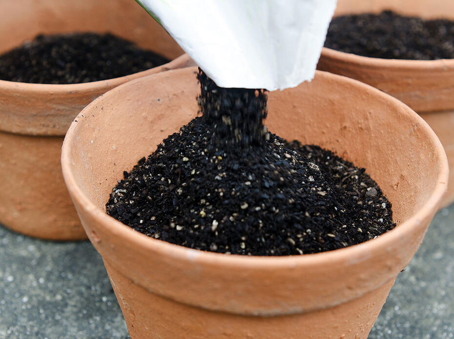 Pouring planting potting soil mix into pots in the garden.
