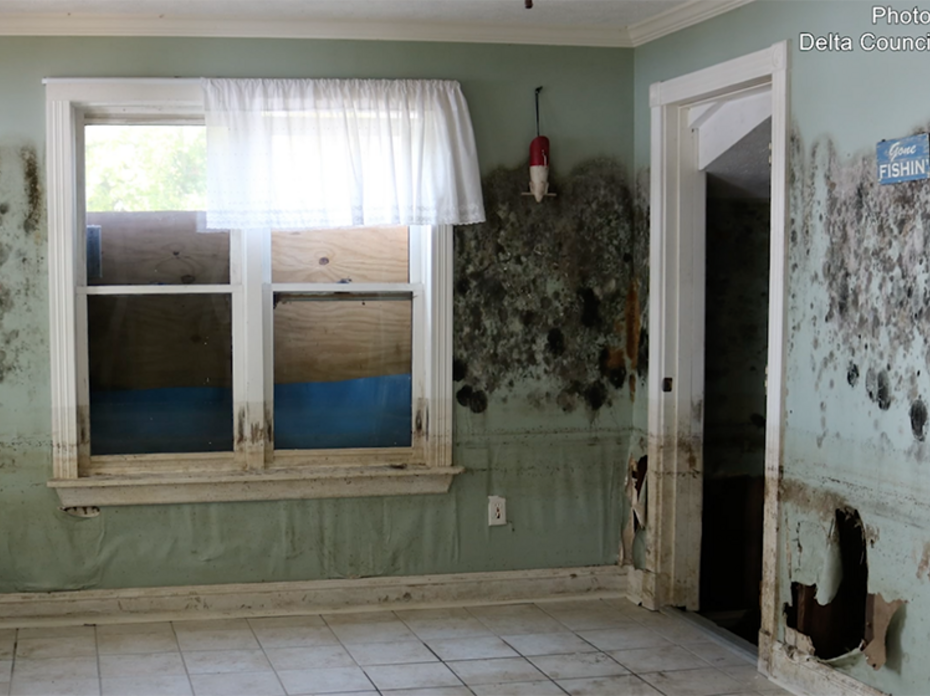 Two walls of a kitchen that has been flooded show significant mold damage and damage to the drywall.