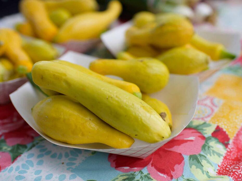 Yellow squash in a paper bowl sitting on a red and white checkered tablecloth.