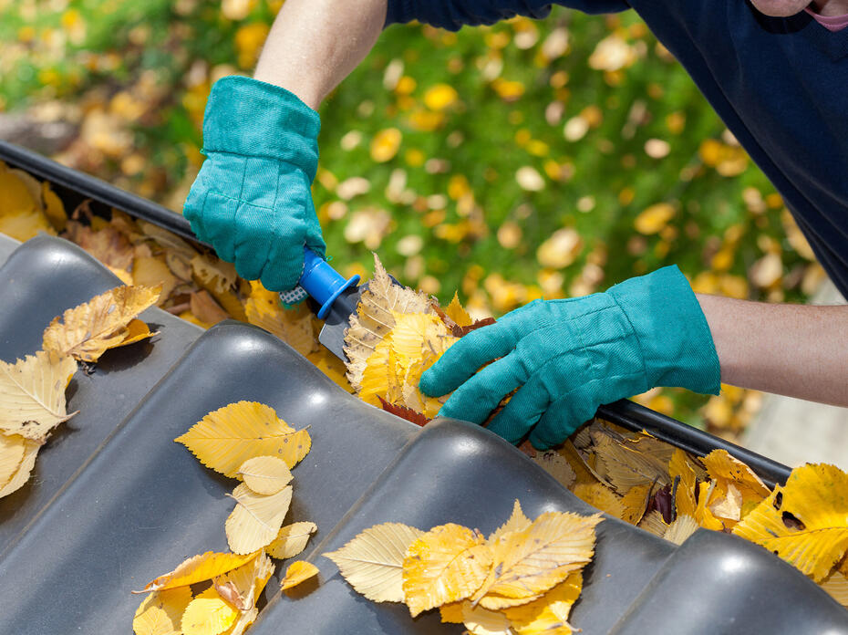 Closeup of a person cleaning leaves out of a gutter.