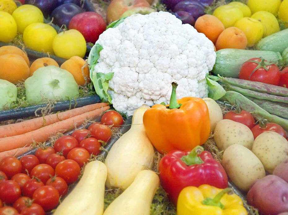 A colorful display of fruits and vegetables features a head of white cauliflower in the center with tomatoes, bell peppers, yellow squash, potatoes, plums and more radiating outward.
