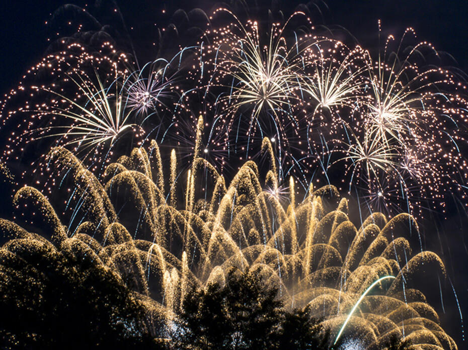 Fireworks explode in a night sky