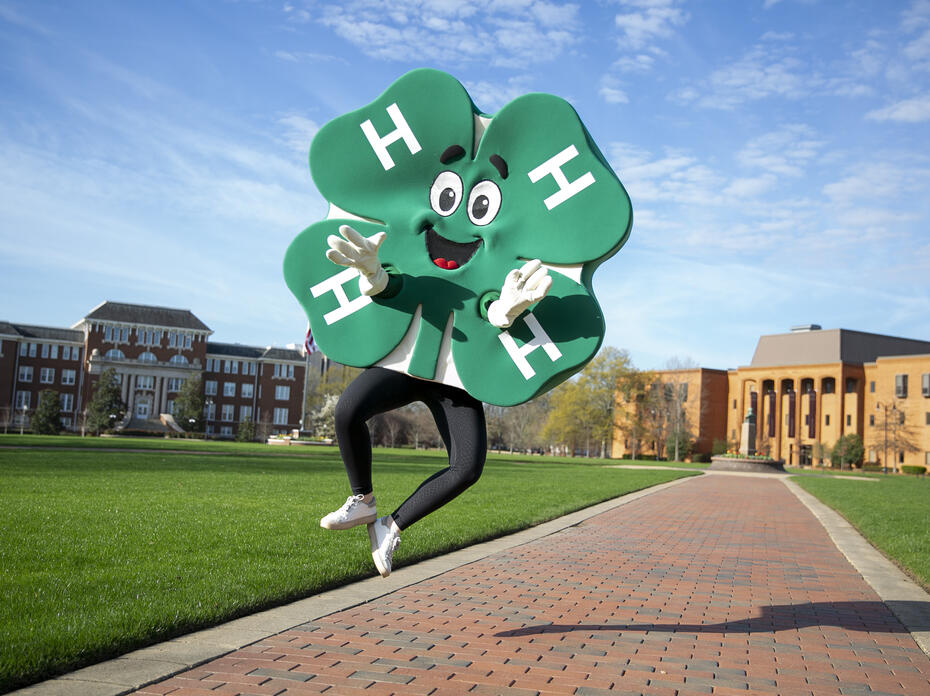 4-H clover on MSU Campus