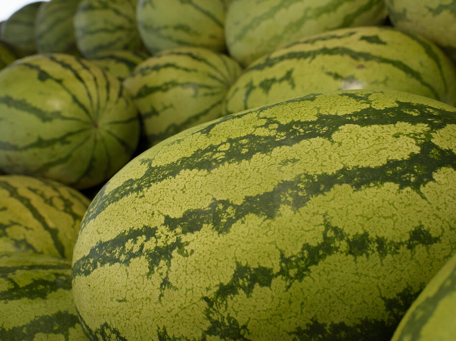 closeup of watermelons