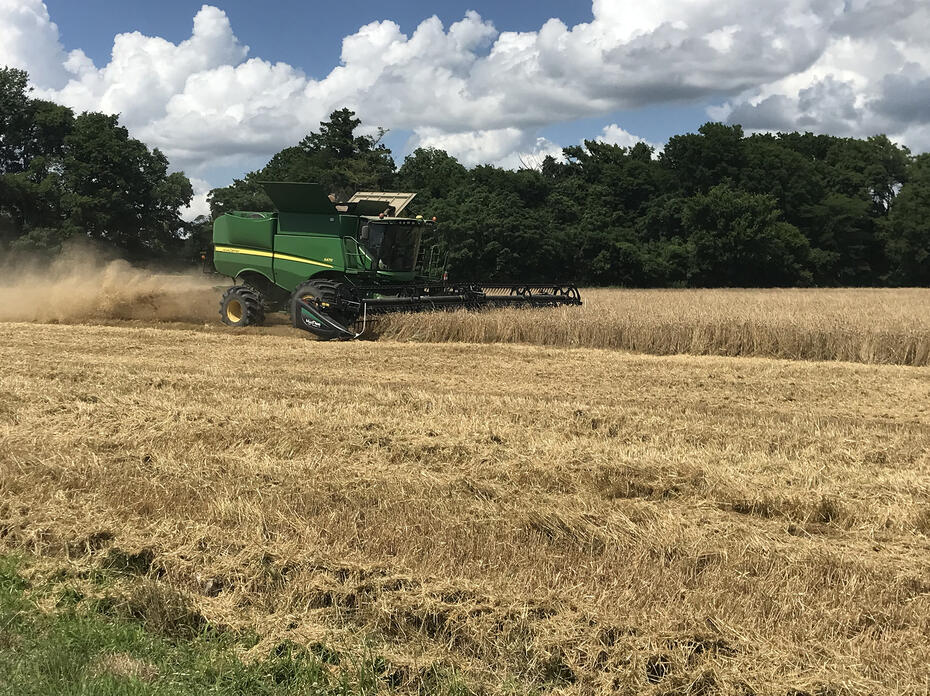 A piece of green farm machinery moves through a wheat field.