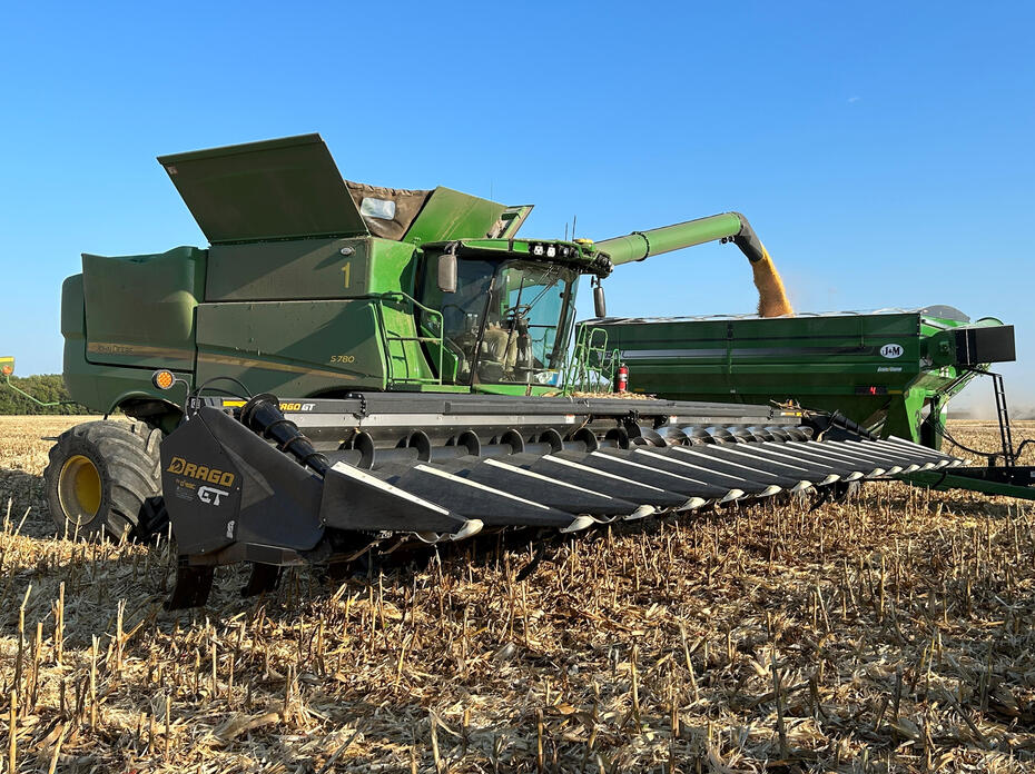 A piece of green farm machinery transfers corn to a bin.
