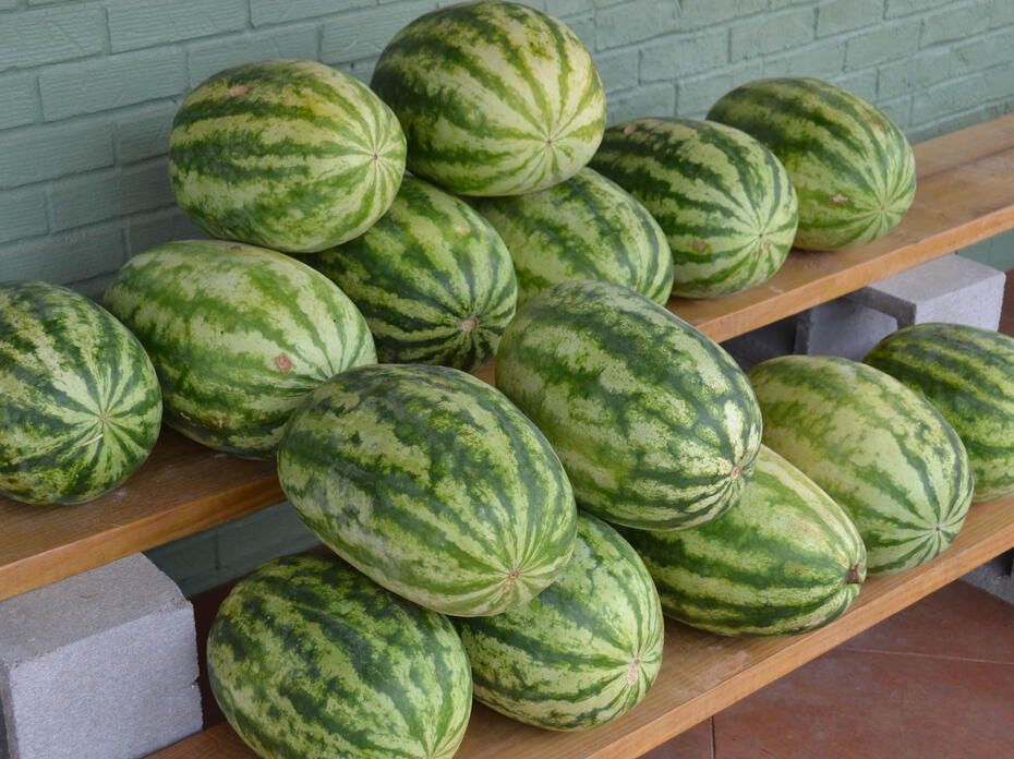 Watermelons sit on shelves outside a local market.