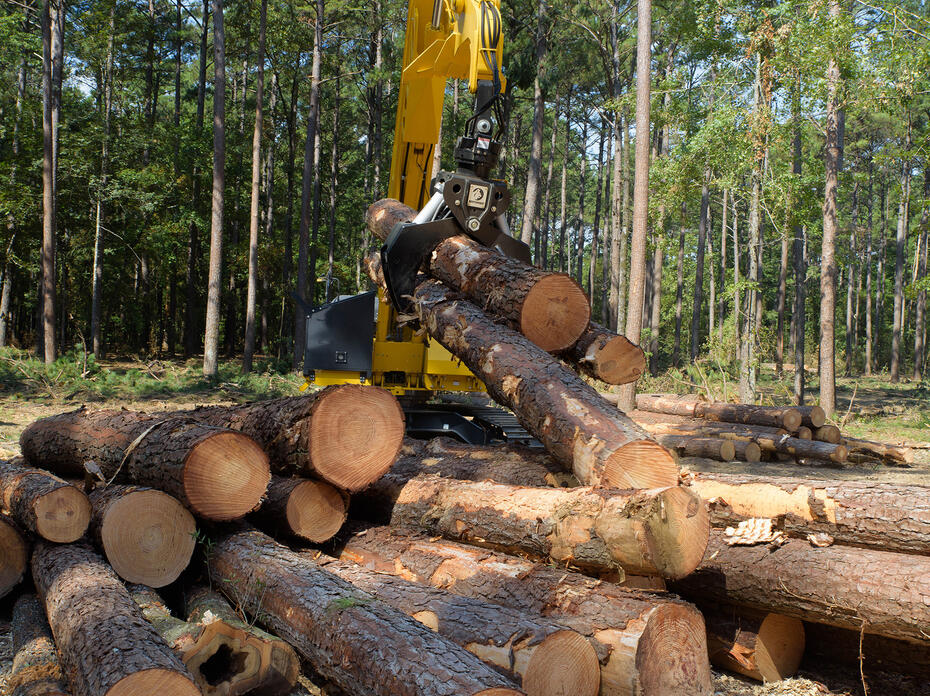 A log loader lifts freshly cut tree logs and places them in a pile.