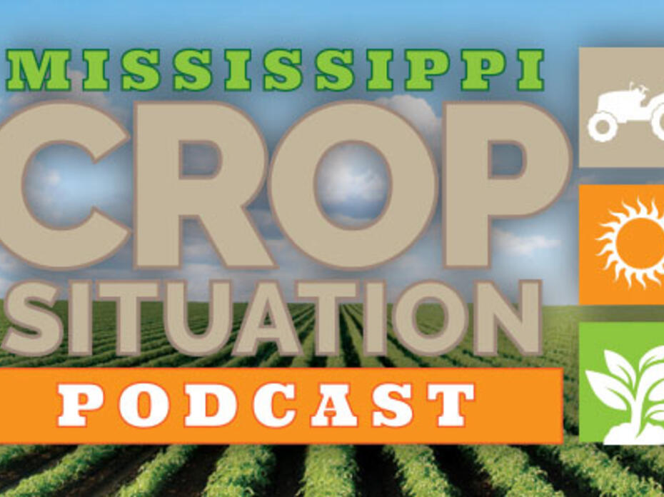 A logo that represents the Mississippi Crop Situation Podcast. The logo contains graphics that represent a tractor, the sun and a plant. 