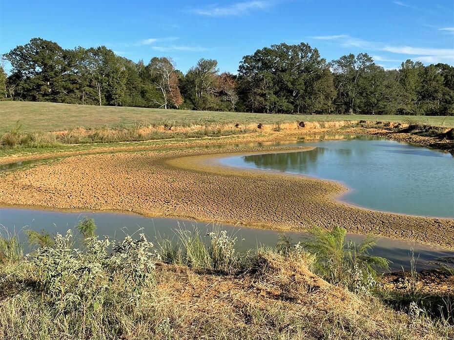 Dried up pond