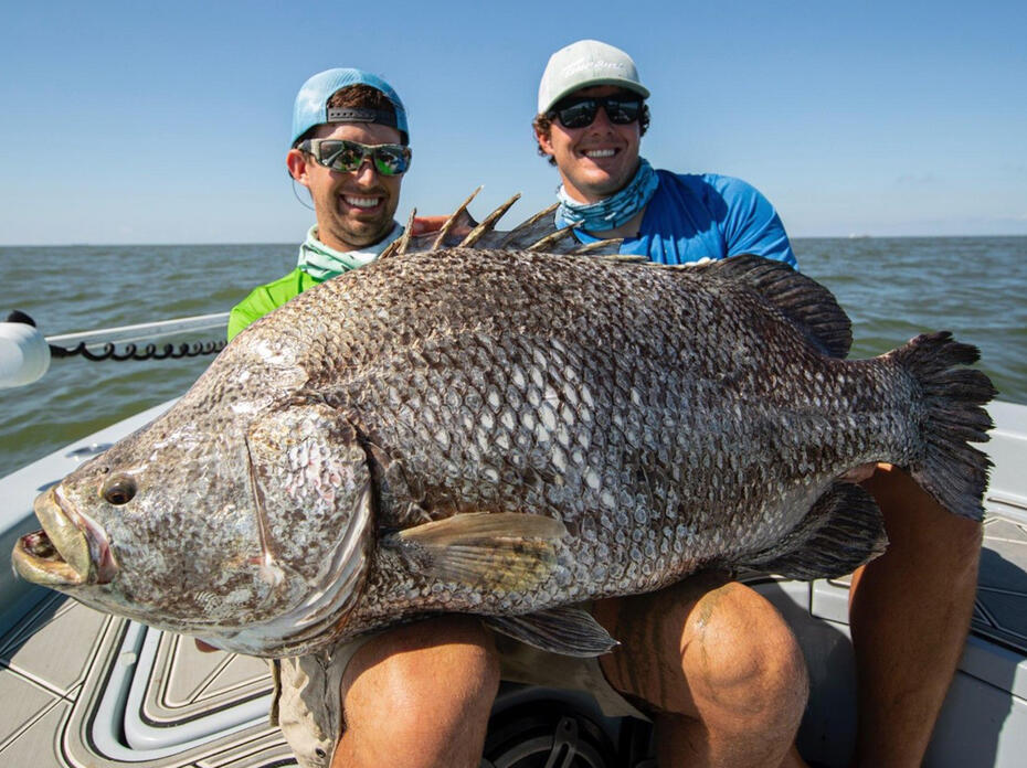 Two men in a boat pose with a large fish in their laps.