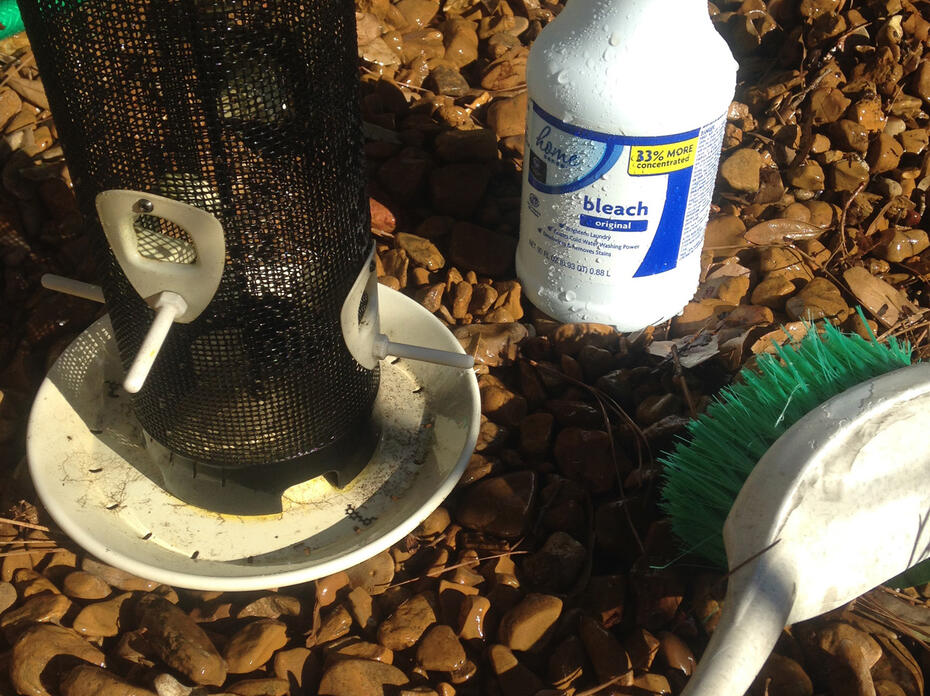 Bird feeder, bottle of bleach and cleaning brush.