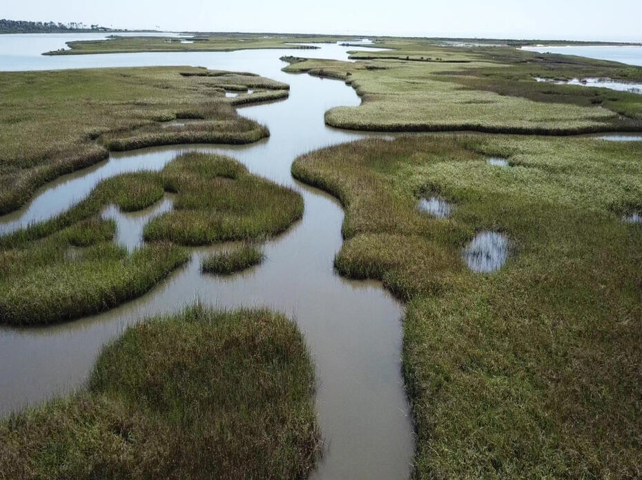 Salt marshes and water