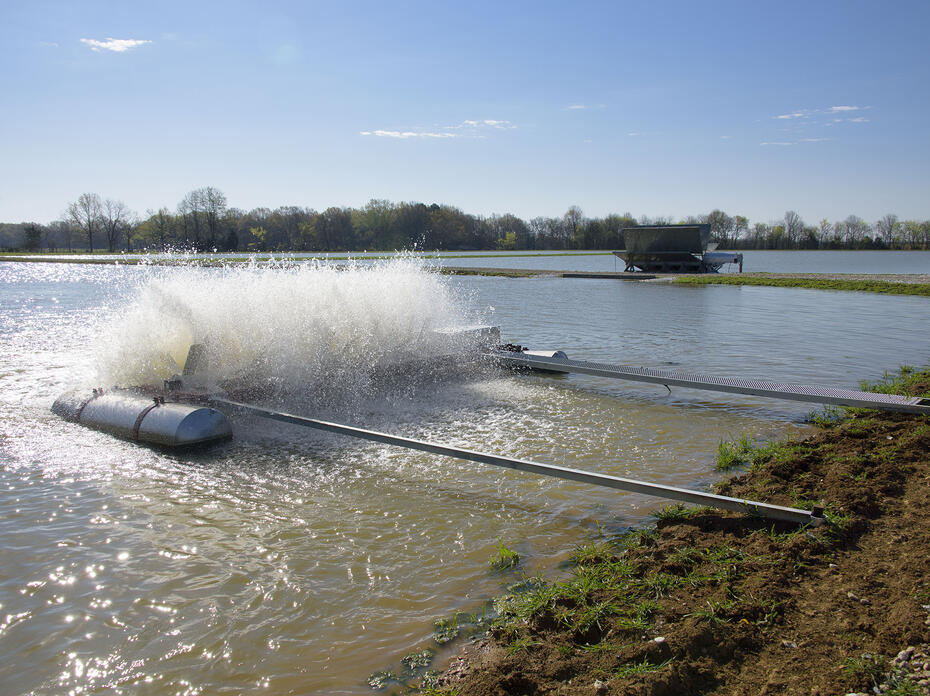 A pond with a surface aerator.