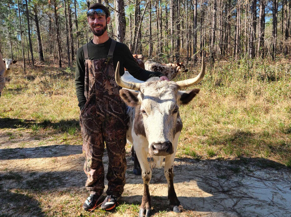 Man with a bull