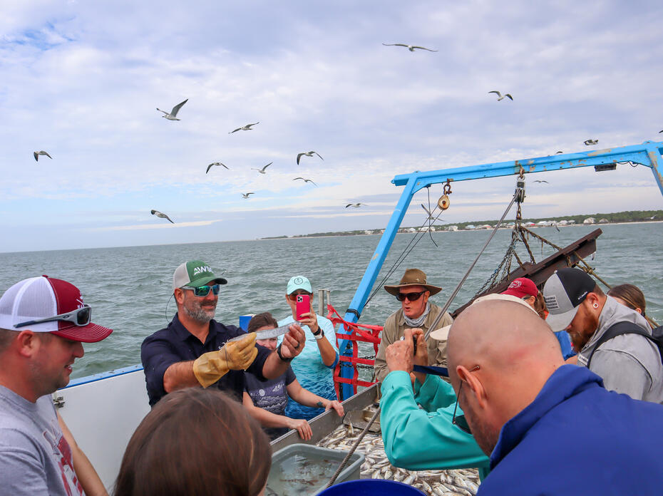 Mississippi State University Extension marine fisheries specialist Marcus Drymon shows a trawl-caught cutlassfish to fishermen during a 2022 field excursion. (Photo by MSU Extension/Marine Fisheries Ecology)