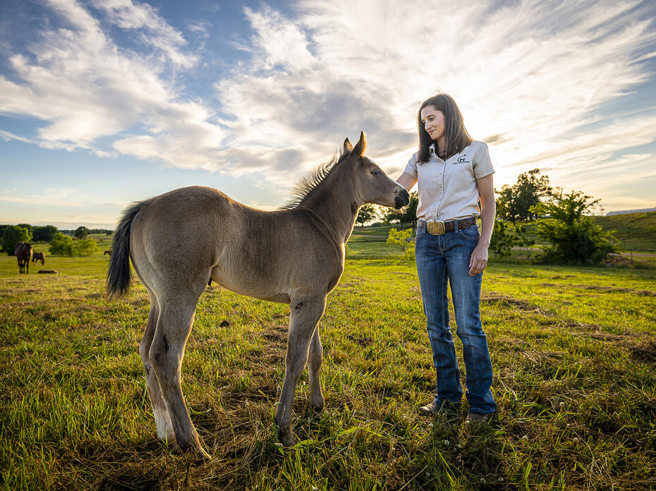 A woman stands in a field with a colt.