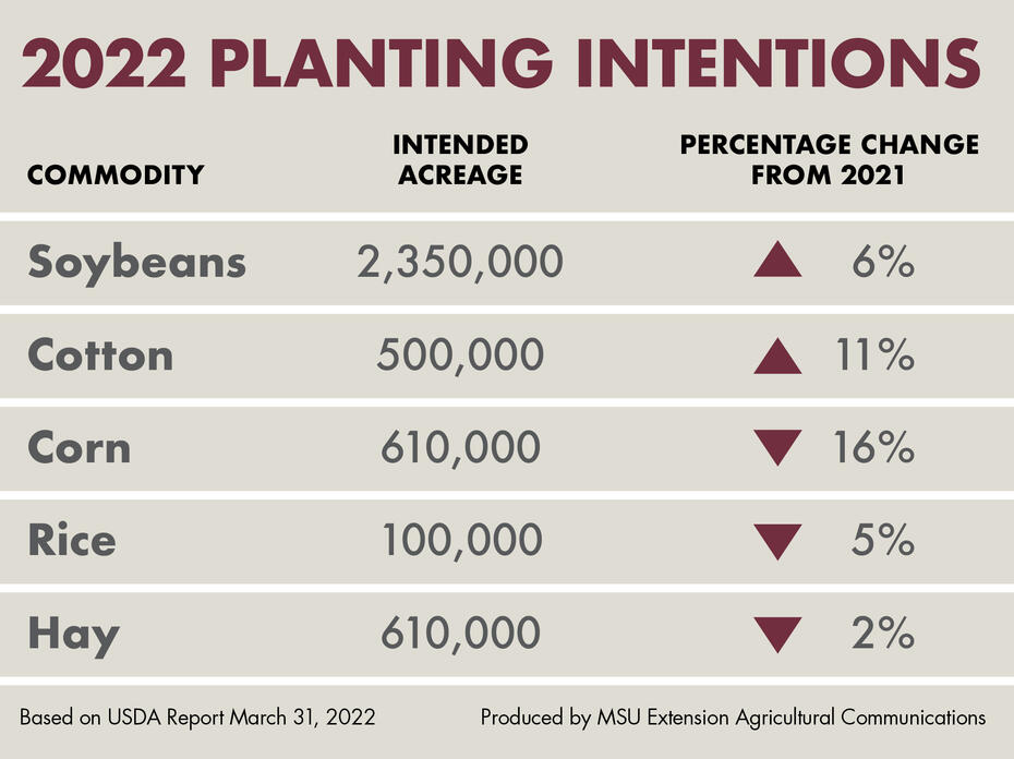 Graphic of planting intentions