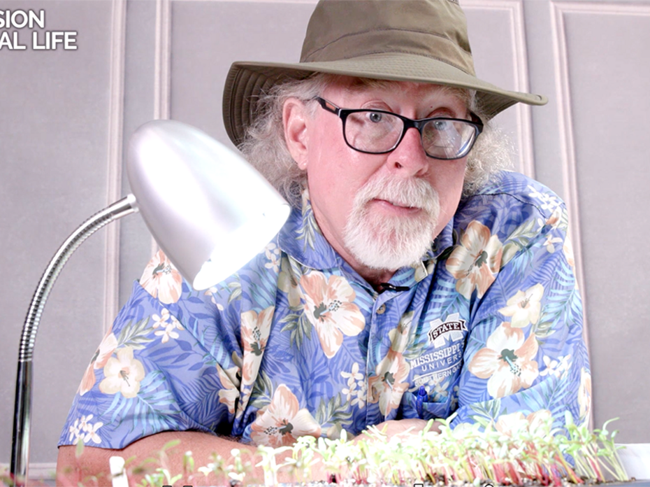 A man with a white goatee and dark-framed glasses leans on a table behind a small LED table lamp and a tray of seedlings. He wears a blue floral Hawaiian shirt and brown hat. 