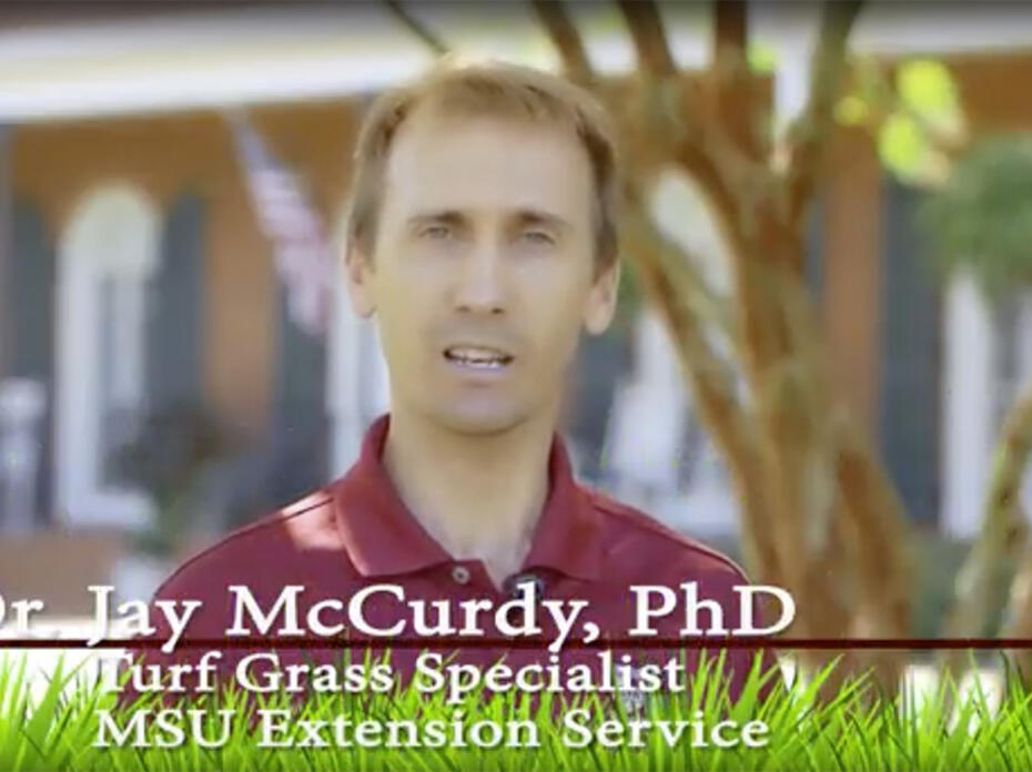headshot of Dr. Jay McCurdy, PhD